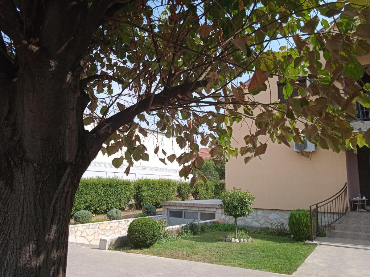 Hostel Vera - Airport Podgorica ミトロヴィツァ エクステリア 写真